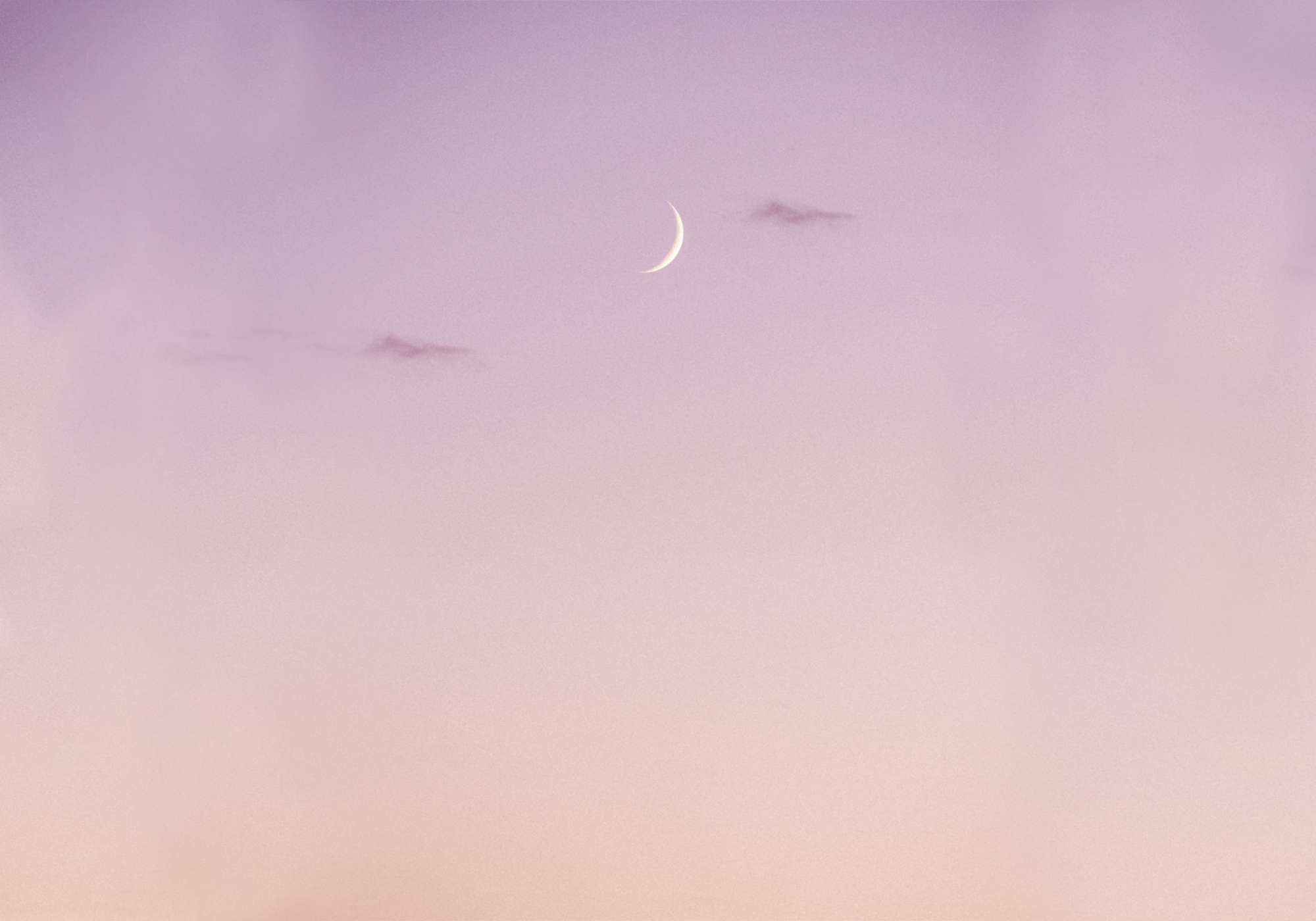 crescent moon with purple sunset